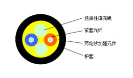 尊龙在线登录(中国)人生就是博官网